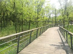 -西湖风景区-江洋畈生态公园