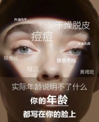 点击看大图 -玛莲朵·海菲秀冰珀科