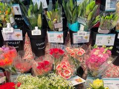 -盒马鲜生(莱蒙都会店)