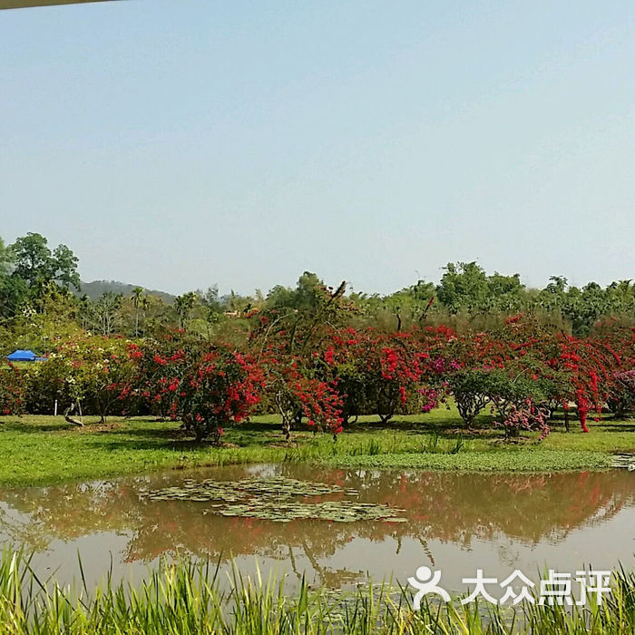 中國科學院西雙版納熱帶植物園景點圖片-北京植物園-大眾點評網