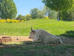 -北京野生动物园
