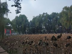 -四川大学(望江校区)