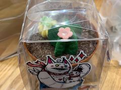 盆栽蛋糕-85度C(南京龙世中心店)