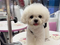 -FAELING PETS美天灵宠物(富力广场店)