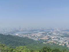 -紫金山山顶公园