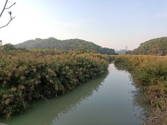 -水濂山森林公园