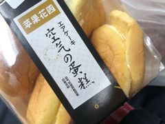 -苹果花园(桂林路店)
