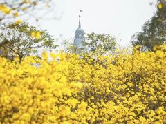 -松山湖风景区松湖烟雨