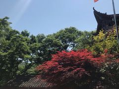 -皇藏峪国家森林公园