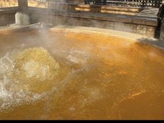 -春晖园度假酒店温泉