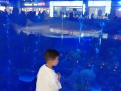 -成都浩海立方海洋公园