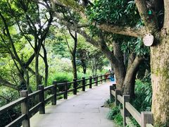 -普陀山风景区-佛顶山