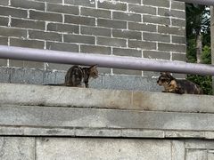 -荔湾湖公园
