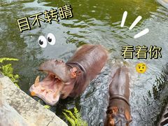 -海南热带野生动植物园