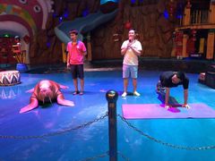 -烟台海昌鲸鲨海洋公园