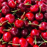 车厘子🍒🍒🍒还🉐是我们大四川汶川的最好吃[wk粽]