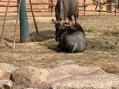 -郑州银基黄帝宫御温泉