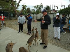 -鹿境梅花鹿生态园区
