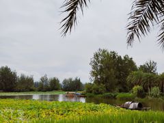 -西昌邛海湿地