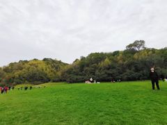 -南泥湾风景区