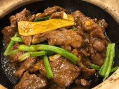 姜汁啫啫牛肉煲-粤·向群饭店(龙津东路总店)