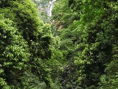 -赤水丹霞旅游区·佛光岩