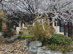 -大连金石滩绿发温泉假日酒店