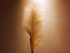 -韶关经律论国际酒店温泉