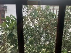 -苏州东山雕花楼宾馆