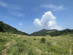 -白草畔自然风景区