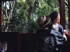 -东部华侨城
