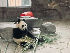 -宁波野生动物园