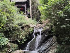 -江西阳明山国家森林公园