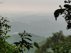 -广州市帽峰山景区
