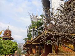 -西双版纳总佛寺