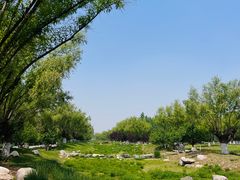 -汉长安城未央宫国家考古遗址公园