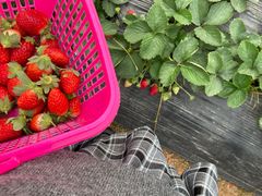 -任达丞国农庄(任达山庄店)