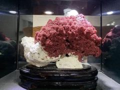 -湖南省地质博物馆