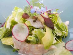 -蝶舍·MAISON PAPILLON