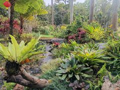 -东莞植物园