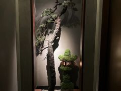 -觀芷隐轩