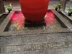 -溧阳天目湖天沐温泉