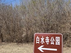 -白水寺森林公园