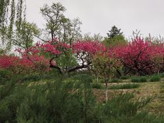 -元大都城垣遗址公园