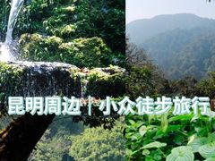 -大围山国家森林公园