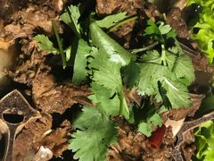 -三个大叔东北烧烤·砂锅菜(西三旗店)