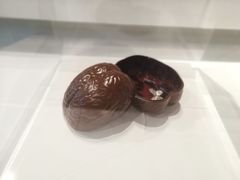 -中国美术学院象山校区-民艺博物馆