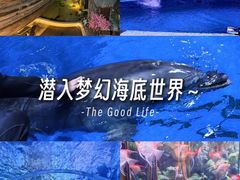 -华夏文旅西安度假区