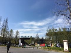 -黄海国家森林公园