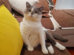 -Mr.Pizza米斯特比萨(五四广场青岛首店)